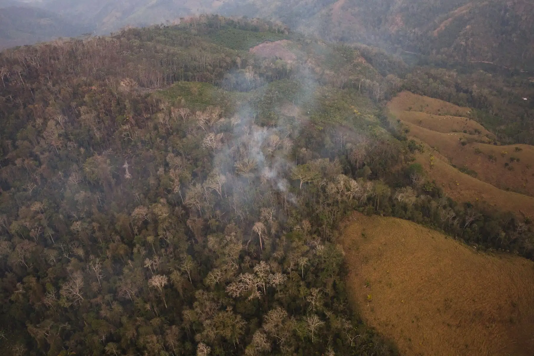 Ministro de Defensa, Water Astudillo Chávez, articula acciones ante incendios forestales en San Martín.
Foto: Mindef