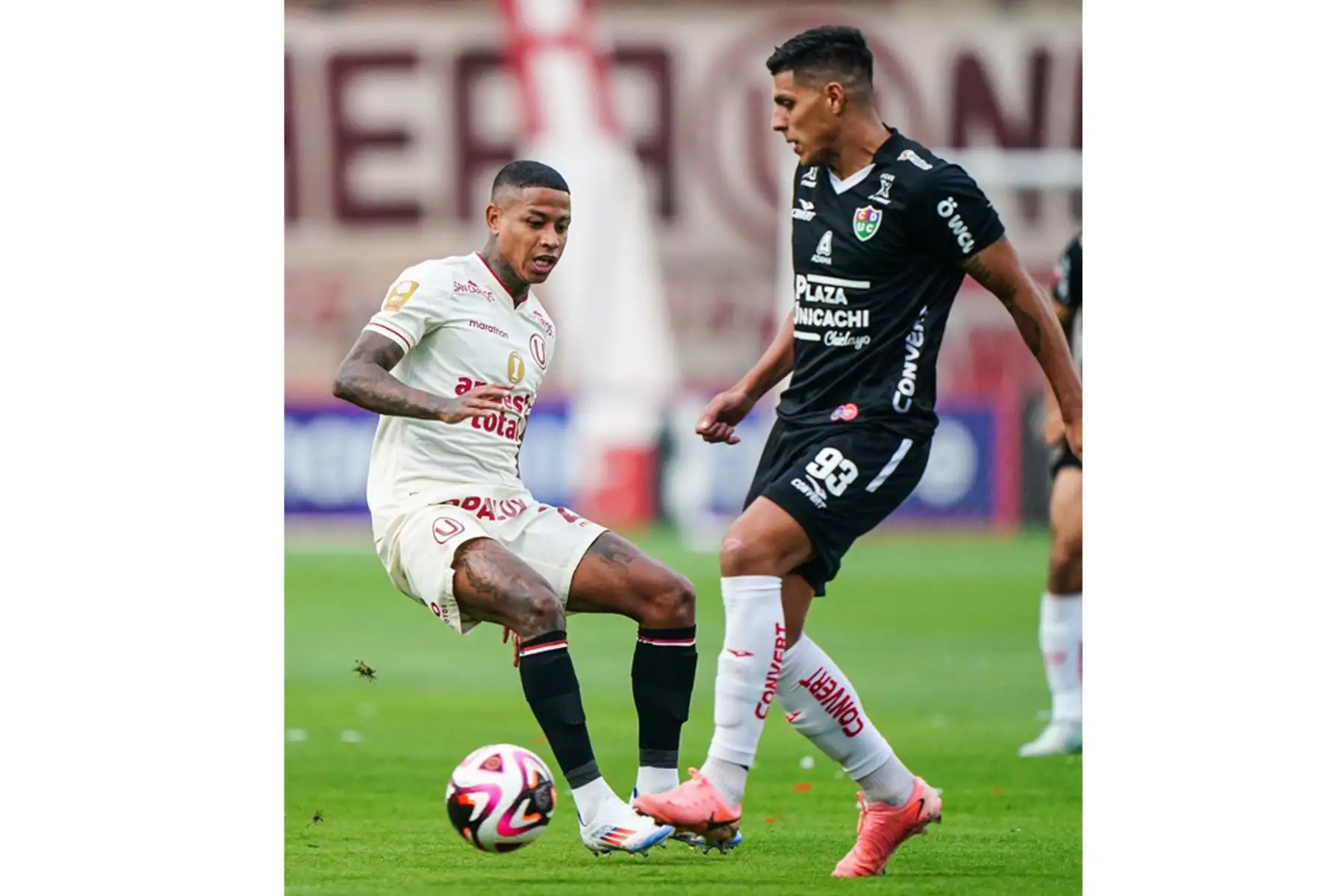 El jugador Andy Polo de Universitario de Deportes  disputa el balón ante el jugador de Unión Comercio por la fecha 12 del Torneo Clausura 2024  en el Monumental de Ate.
Foto: Liga 1