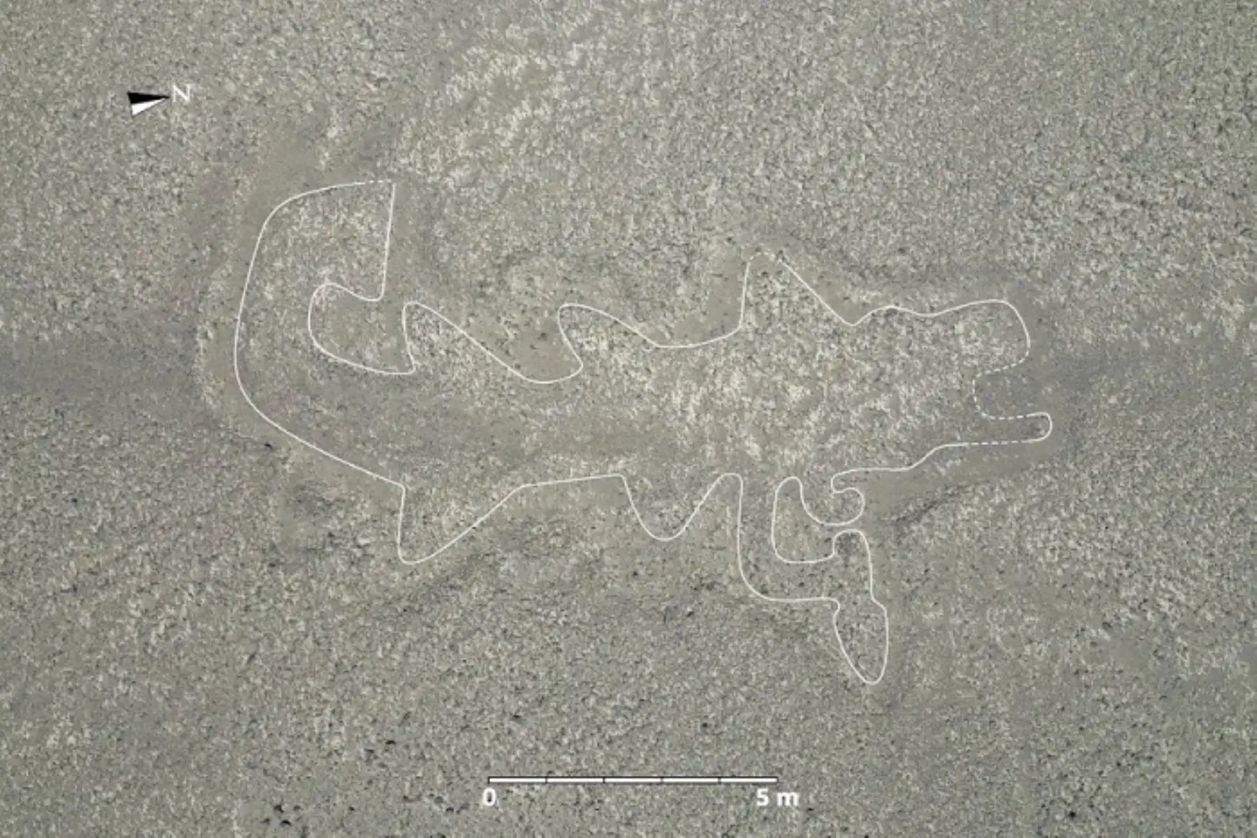 Científicos de la Universidad de Yamagata de Japón descubrieron 303 nuevos geoglifos en un trabajo de campo de 6 meses en la Pampa de Nasca, donde se encuentran los geoglifos emblemáticos de las Líneas de Nasca, como el mono y la araña, gracias a la ayuda de la inteligencia artificial que aceleró el trabajo de los especialistas en el campo. Foto. Instituto Nasca de la Universidad de Yamagata.