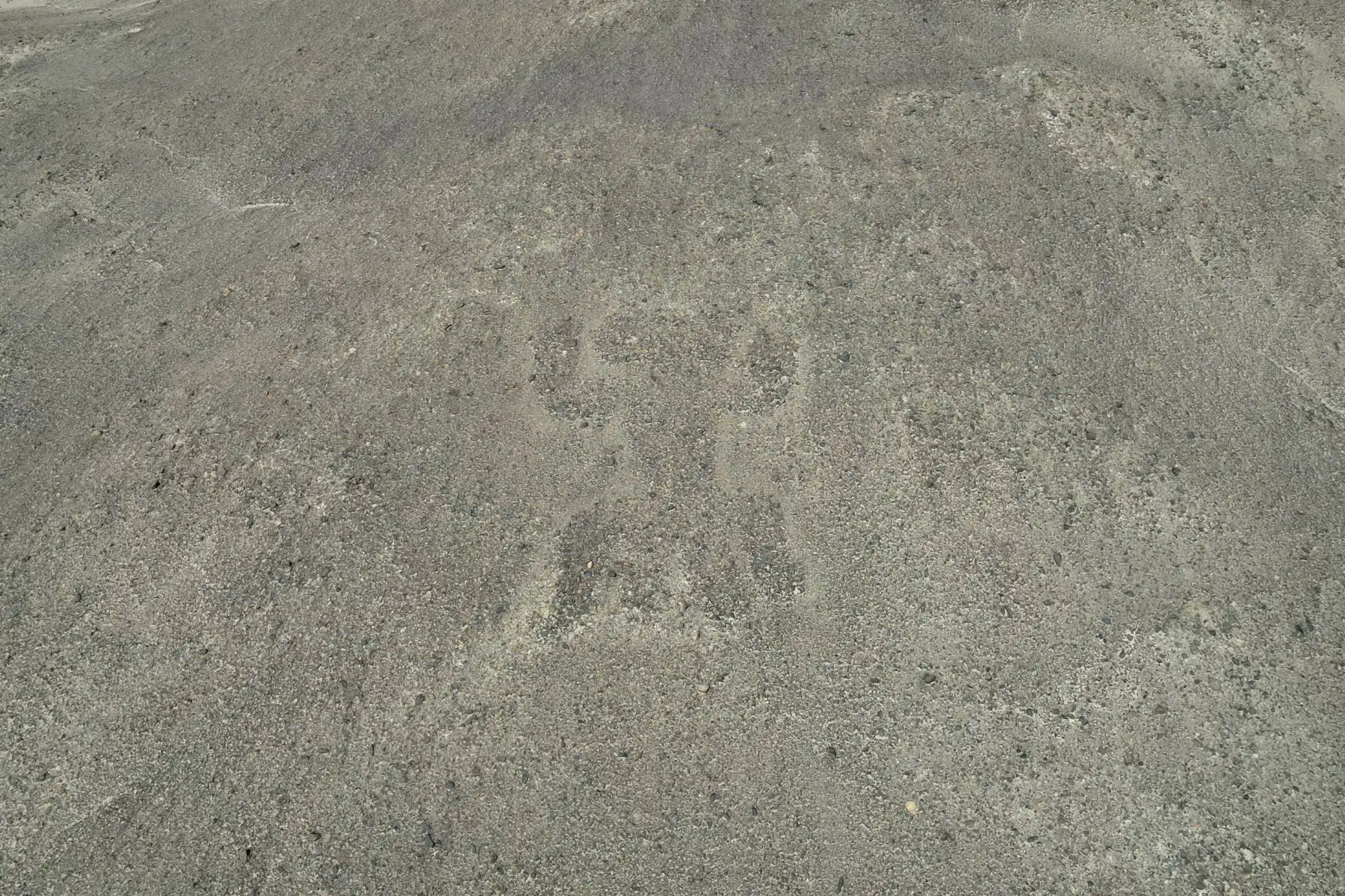 Estos son los nuevos geoglifos descubiertos en la Pampa de Nazca, en la región Ica, por investigadores de la Universidad de Yamagata (Japón), que representan a seres antropomorfos y alusivos a la fauna silvestre, cuyas imágenes se obtuvieron mediante tomas aéreas y también con la ayuda de la IA. Foto: Cortesía Universidad de Yamagata