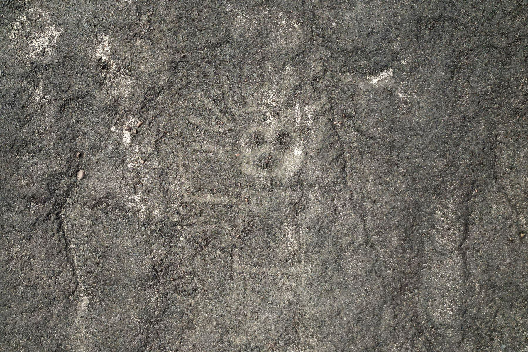 Estos son los nuevos geoglifos descubiertos en la Pampa de Nazca, en la región Ica, por investigadores de la Universidad de Yamagata (Japón), que representan a seres antropomorfos y alusivos a la fauna silvestre, cuyas imágenes se obtuvieron mediante tomas aéreas y también con la ayuda de la IA. Foto: Cortesía Universidad de Yamagata