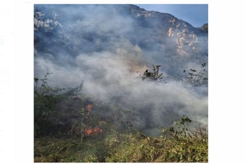 El COER Pasco advirtió que estos incendios forestales están alcanzando niveles críticos. La región enfrenta una emergencia ambiental sin precedentes.