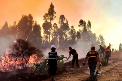 Lucha contra los incendios forestales no cesa. Al menos ocho siniestros se registran ahora en cuatro regiones del país y son combatidos por brigadistas. ANDINA/Difusión