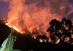 Cerca de 300 hectáreas de bosques de dos áreas de conservación regional de Cajamarca fueron arrasadas por incendios forestales, informó el gerente de Recursos Naturales y Medio Ambiente, Sergio Sánchez. ANDINA/Difusión