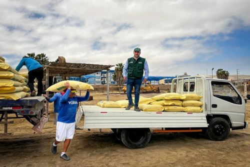 El Programa Rural está entregando de manera progresiva unos diez mil 200 sacos (510 toneladas) de guano de islas a más de 417 familias campesinas de las zonas rurales de la  región Arequipa.