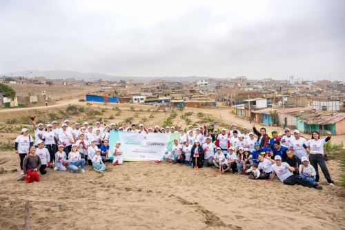 Voluntarios sembraron mil árboles en cinco ciudades del Perú. Foto: Cortesía.