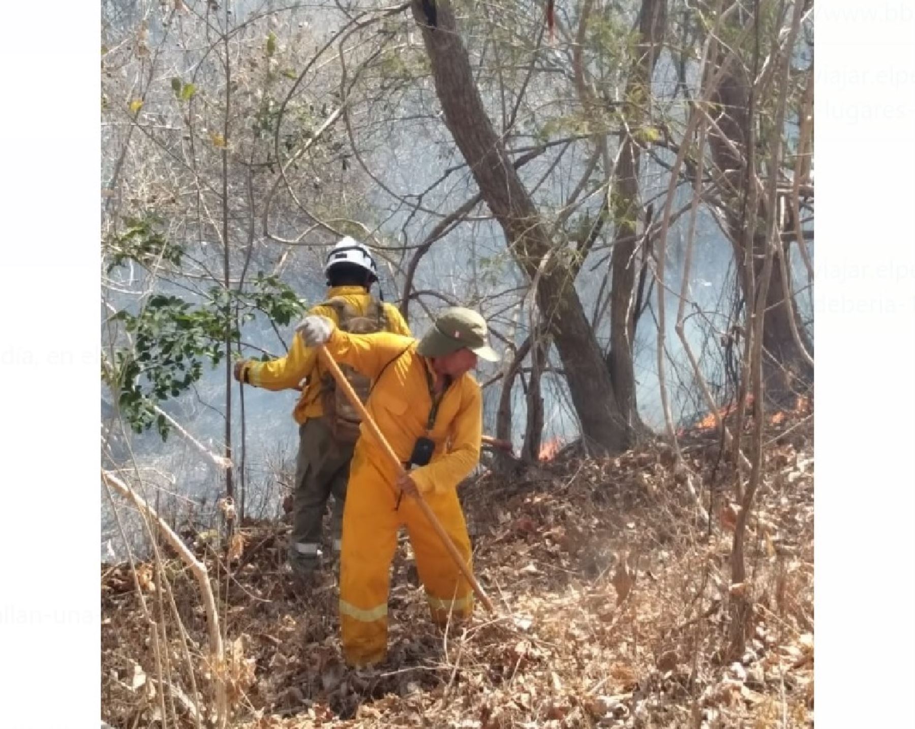 Guardaparques del Sernanp y pobladores luchan contra incendio forestal que se registra en el distrito de Pampas de Hospital, en Tumbes. La zona se ubica dentro del Parque Nacional Cerros de Amotape. ANDINA/Difusión