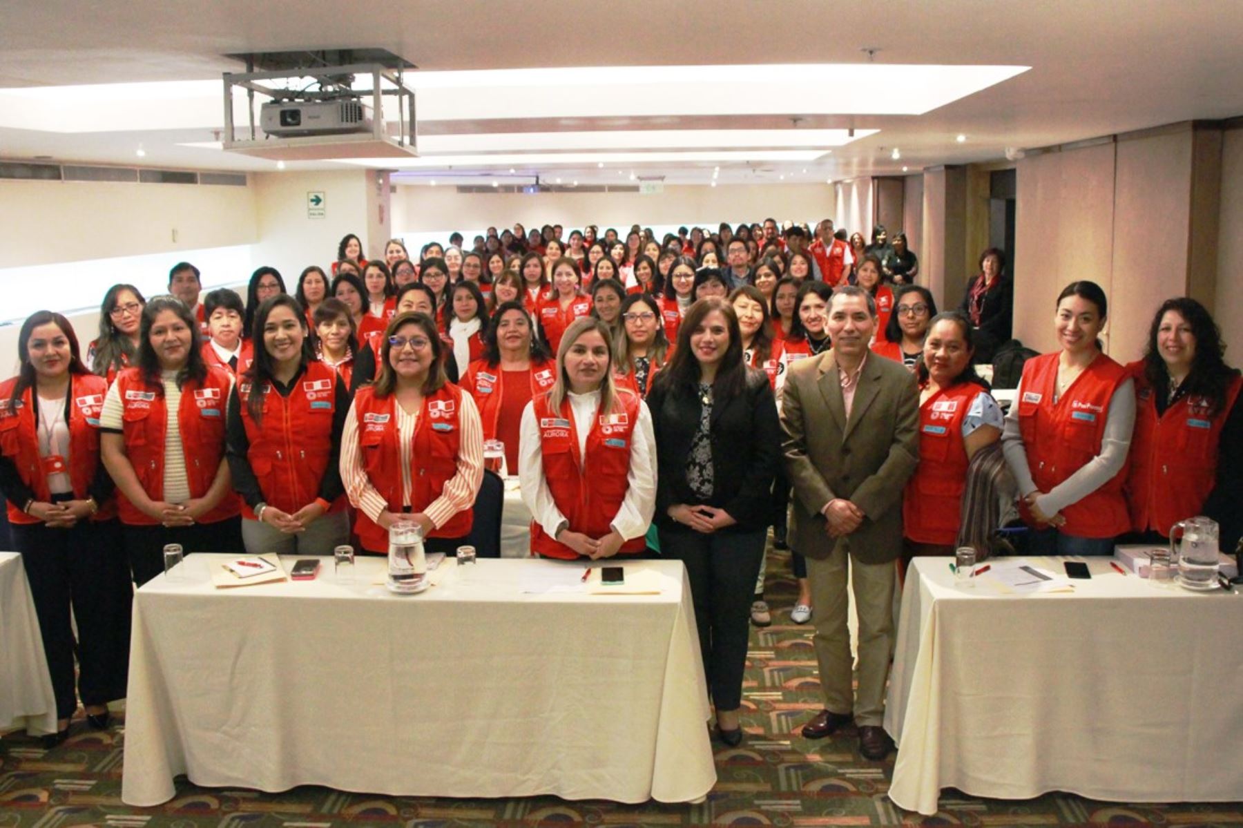 Fortalecen conocimientos de profesionales que trabajan con voluntarias contra la violencia. Foto: ANDINA/Difusión.