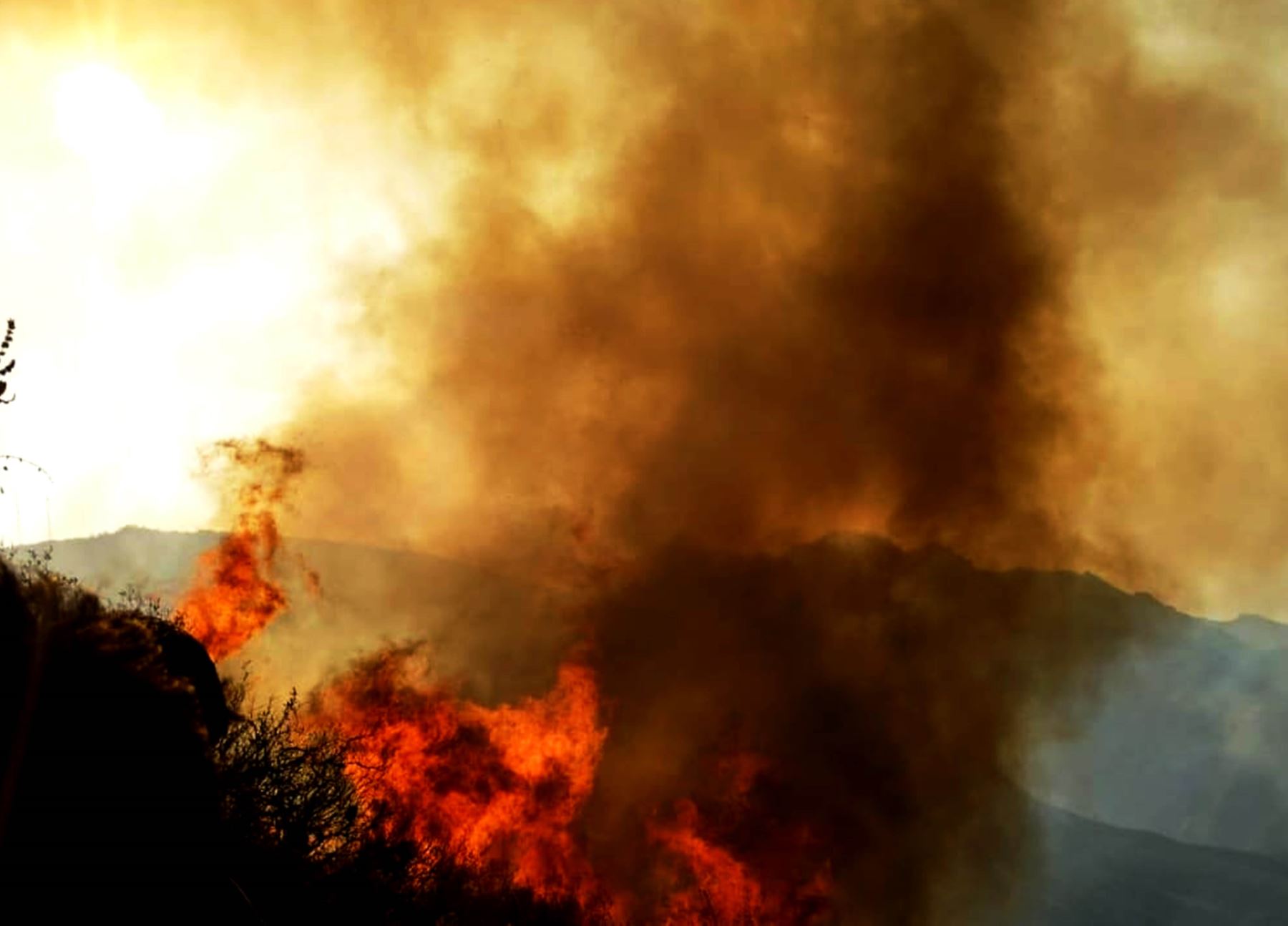 En la provincia cajamarquina de Jaén se registran incendios forestales en los distritos de Pucará, San Felipe, San José del Alto y Santa Rosa. Foto: ANDINA/Difusión