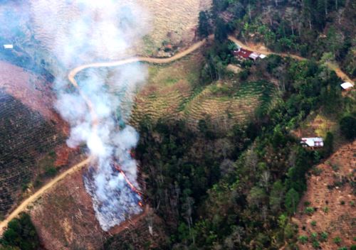 Con un total de 34 incendios y cerca de 4,000 hectáreas de bosques y cultivos afectados, Jaén es la provincia más afectada por estos siniestros en la región Cajamarca.  ANDINA/Difusión