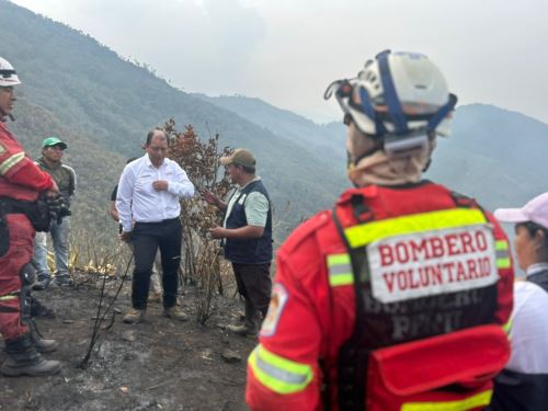 Ministro de Trabajo y Promoción del Empleo, Daniel Maurate, supervisó las acciones para extinguir los incendios forestales que afectan al distrito de Monobamba, región Junín. ANDINA/Difusión