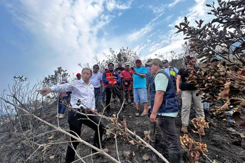 Ministro de Trabajo y Promoción del Empleo, Daniel Maurate, supervisó las acciones para extinguir los incendios forestales que afectan al distrito de Monobamba, región Junín. ANDINA/Difusión