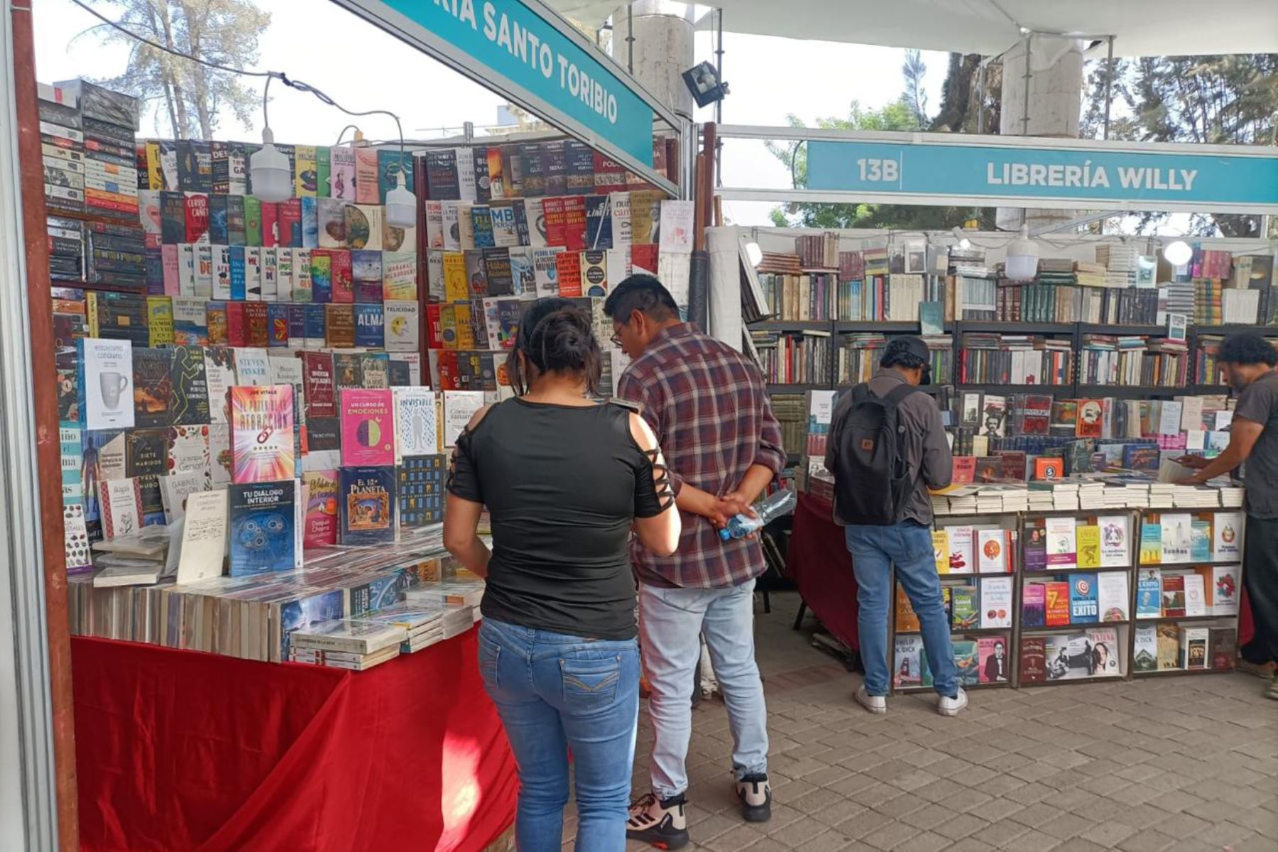 Editoriales, fondos editoriales universitarios y librerías ofrecen al público un amplio y variado catálogo de títulos. Foto: ANDINA/Difusión