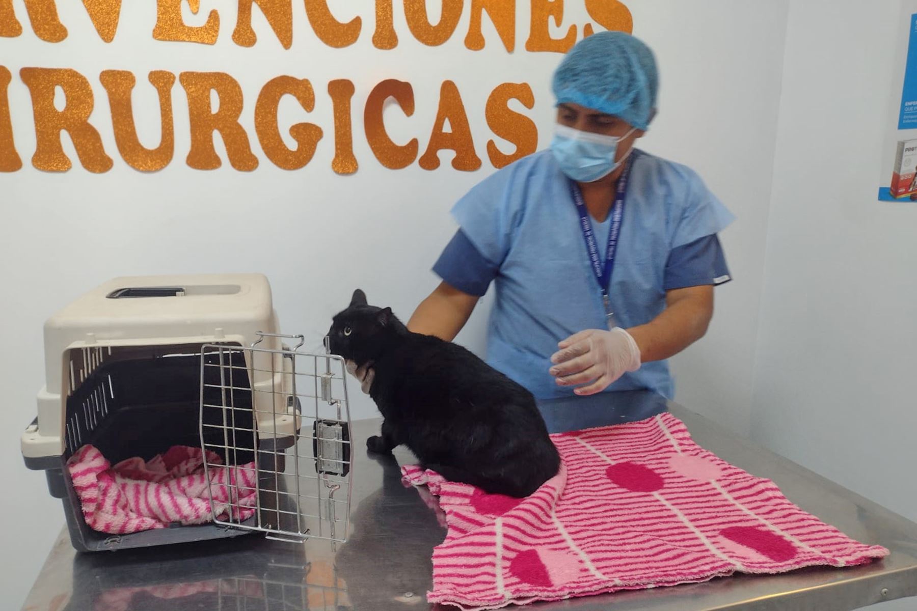 La clínica veterinaria municipal de Trujillo empezó a atender hace dos semanas y media. Foto: ANDINA/Difusión