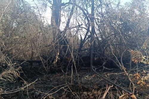 Es evidente la vulnerabilidad de la región ante incendios forestales que todavía se registran en esta parte de la sierra central.