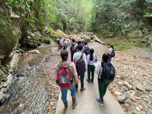 Promueven labores de conservación en estudiantes de colegio de Tarapoto dentro de Cordillera Escalera, el área de conservación regional ubicado en la región San Martín. ANDINA/Difusión