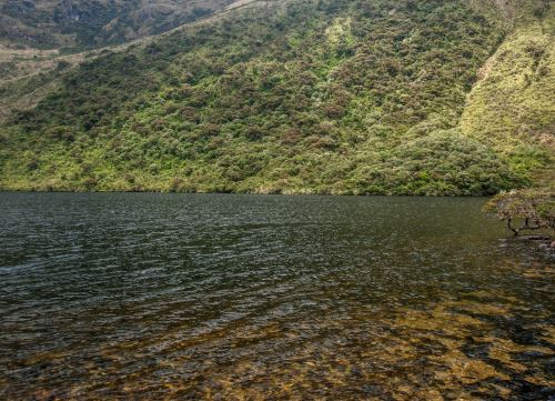 El futuro corredor de conservación Andes del Norte conectará a los páramos y bosques montanos de la sierra de Piura. Un espacio que alberga un rico ecosistema. ANDINA/Difusión