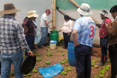 Productores cusqueños se capacitan en elementos para fortalecer la agricultura orgánica. Foto: ANDINA/Difusión