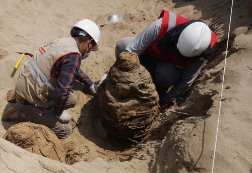 Descubrimiento arqueológico: hayan en Ica cuatro fardos funerarios de más de 800 años de antigüedad