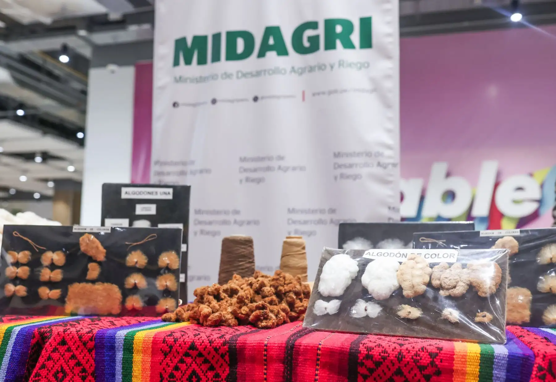 Este convenio interinstitucional, que tiene una vigencia de cuatro años, desde su suscripción, el CITE Gamarra se compromete a facilitar la integración de los productores a la cadena de valor del algodón peruano, así como facilitar el acceso de algodón a nuevos mercados en acuerdo con los productores nacionales. Foto: ANDINA/Difusión