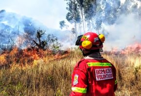 Desde agosto pasado se han registrado más de 260 incendios forestales en la región Cajamarca. Foto: ANDINA/Difusión