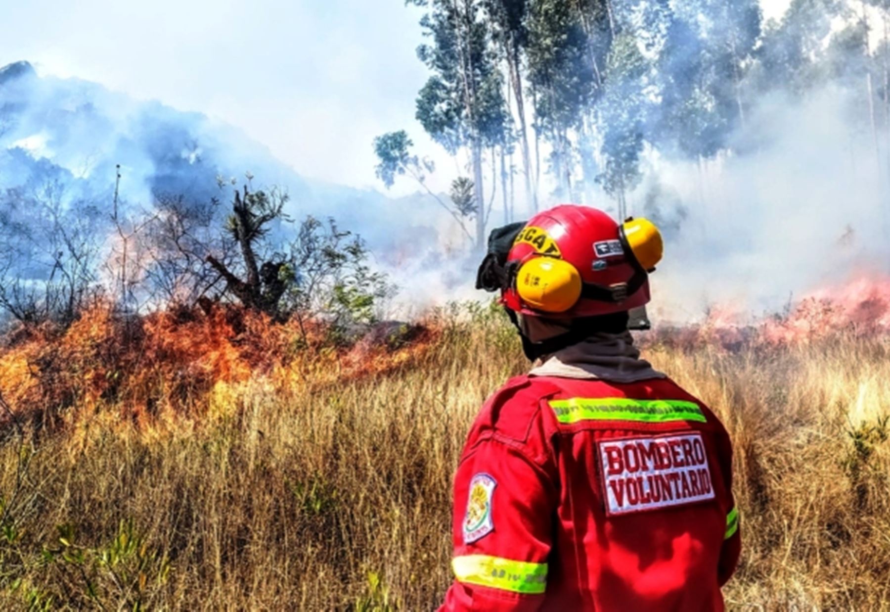 Desde agosto pasado se han registrado más de 260 incendios forestales en la región Cajamarca. Foto: ANDINA/Difusión