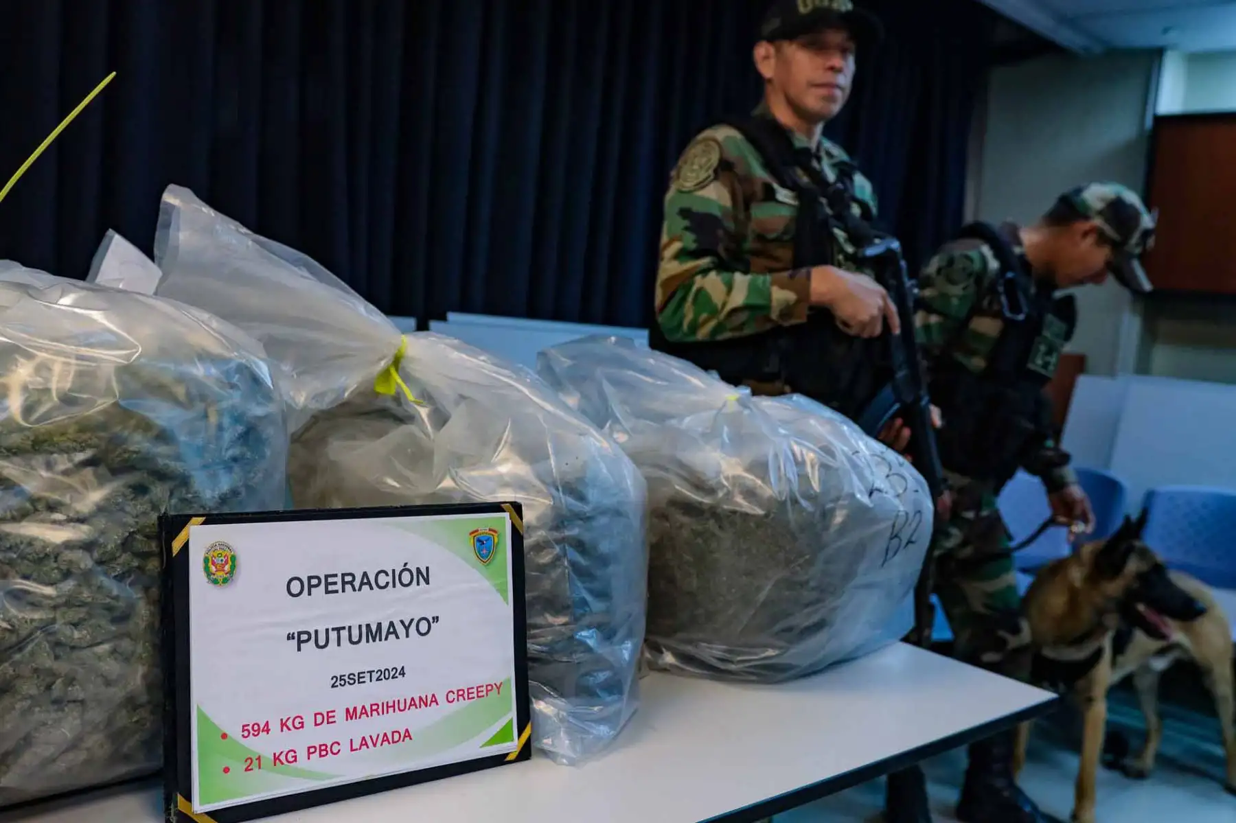 La Policía Nacional del Perú, a través de la Dirección Antidrogas (DIRANDRO), brinda detalles en relación a operativos policiales  mas resaltantes de interdicción al Tráfico Ilícito de Drogas, durante el mes de setiembre. Foto: ANDINA/ Lino Chipana