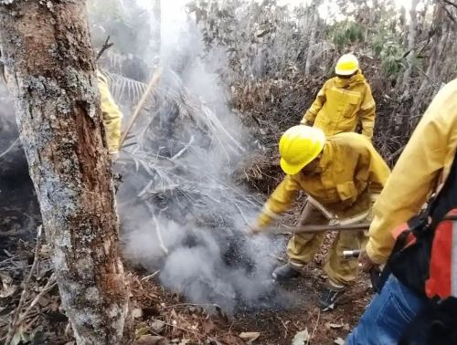 El 90 % de los incendios forestales en la región San Martín fueron causados por la acción humana, revela un informe del COER. ANDINA/Difusión