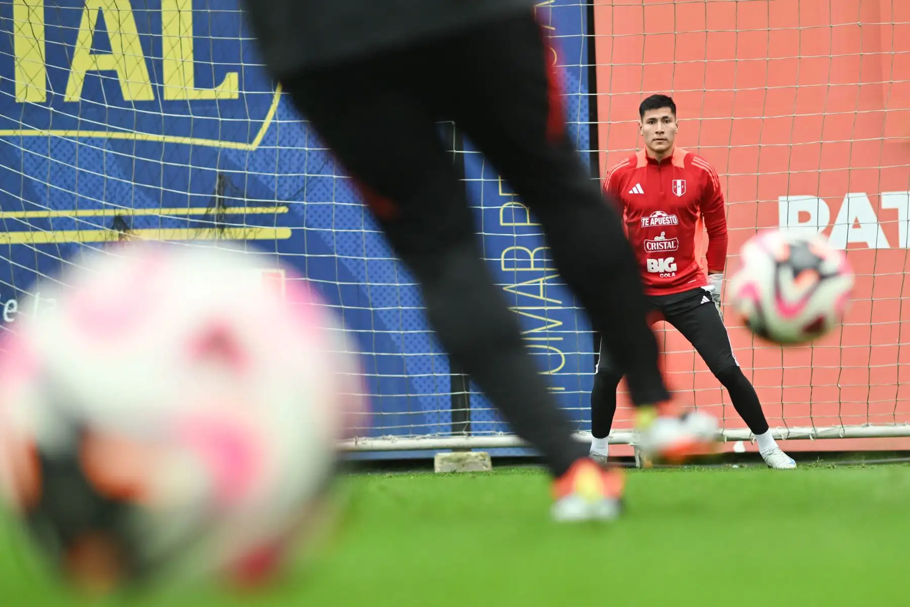 En la lista de convocados de Fossati para afrontar la fecha doble de octubre no está el máximo goleador de la historia de la Blanquirroja, el delantero Paolo Guerrero, así como el media punta André Carrillo ni el creativo Christian Cueva. Foto: ANDINA/Difusión