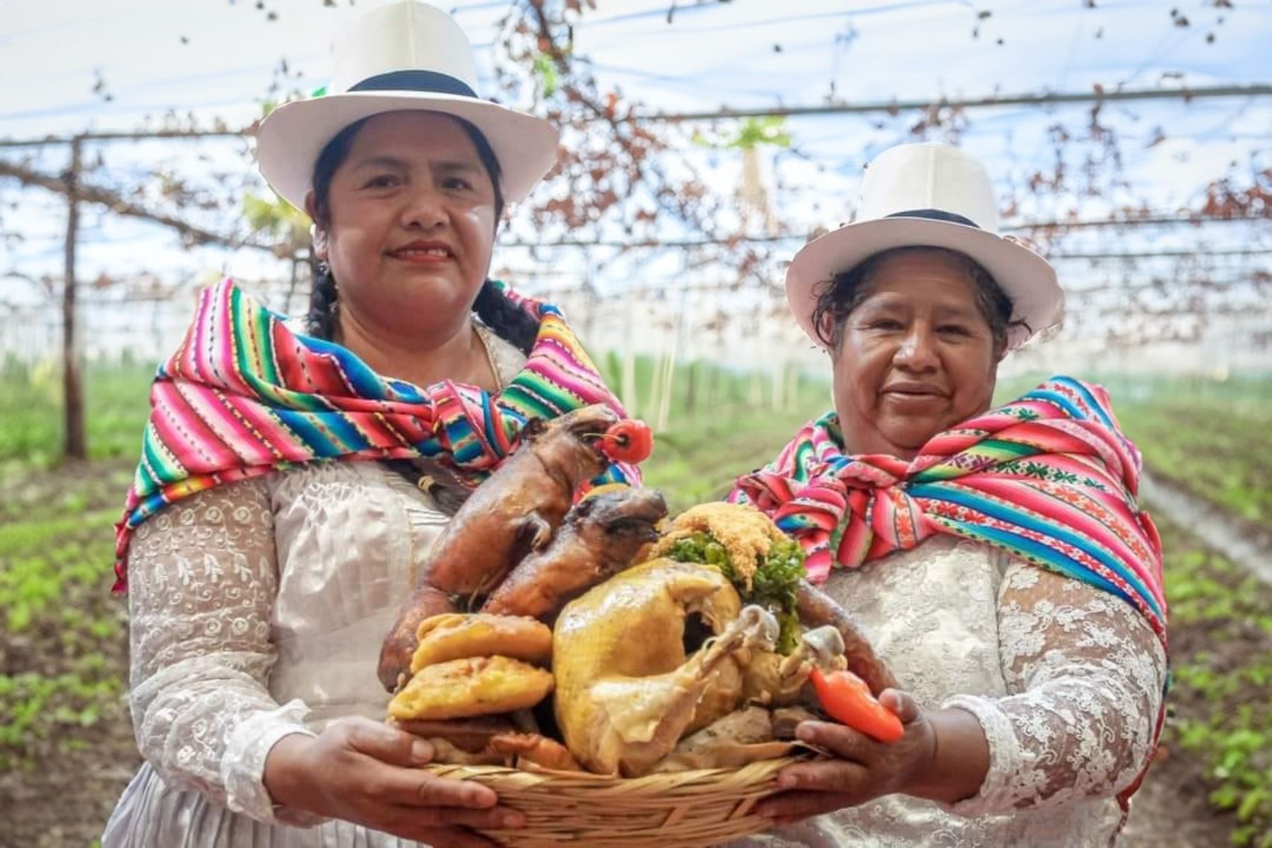 Con ferias de productores y otras actividades celebrarán el Día Nacional del Cuy, que se conmemora el segundo viernes de octubre. Estas ferias se realizarán en Cusco, Áncash, Arequipa, Cajamarca y Lima. ANDINA/Difusión