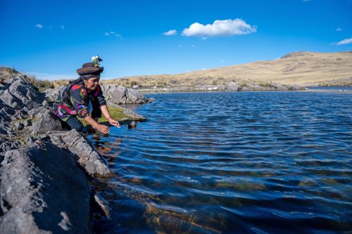 Siembra y cosecha de agua: conoce las qochas, una técnica ancestral que busca hacer frente al estrés hídrico