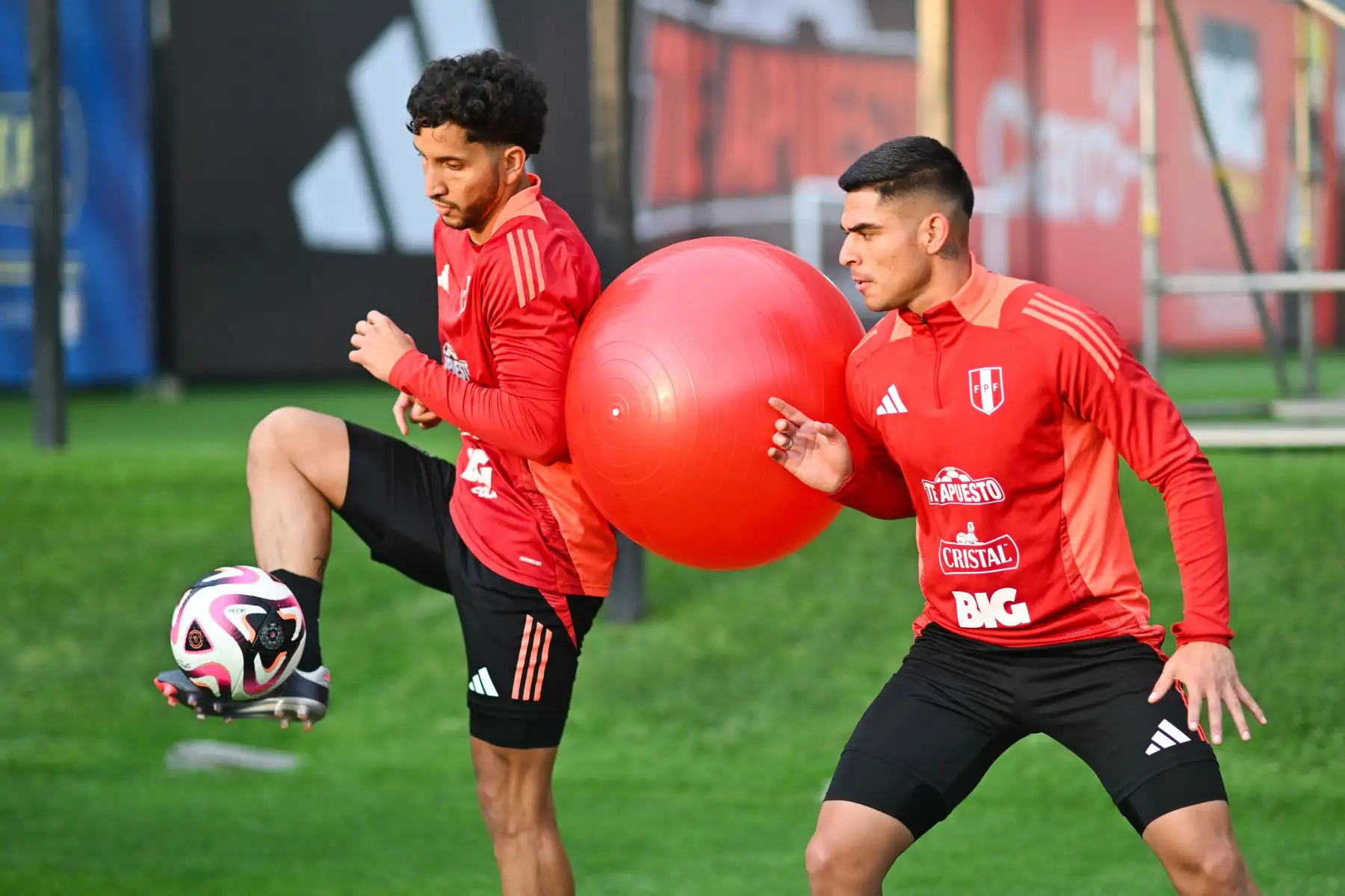 Jugadores convocados de la Selección Peruana de Fútbol entrenan en la Videna de San Luis hoy viernes 4 de octubre, con miras a sus próximos partidos de Eliminatorias al Mundial 2026 contra Uruguay y Brasil durante la primera quincena de este mes. Foto: FPF