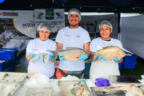Foto: ANDINA/difusión.