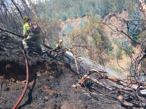 Bomberos, policías y miembros de Serenazgo de Cusco sofocaron un incendio forestal y evitaron que el fuego cause daños en los muros incas del parque arqueológico Sacsayhuamán. ANDINA/Difusión