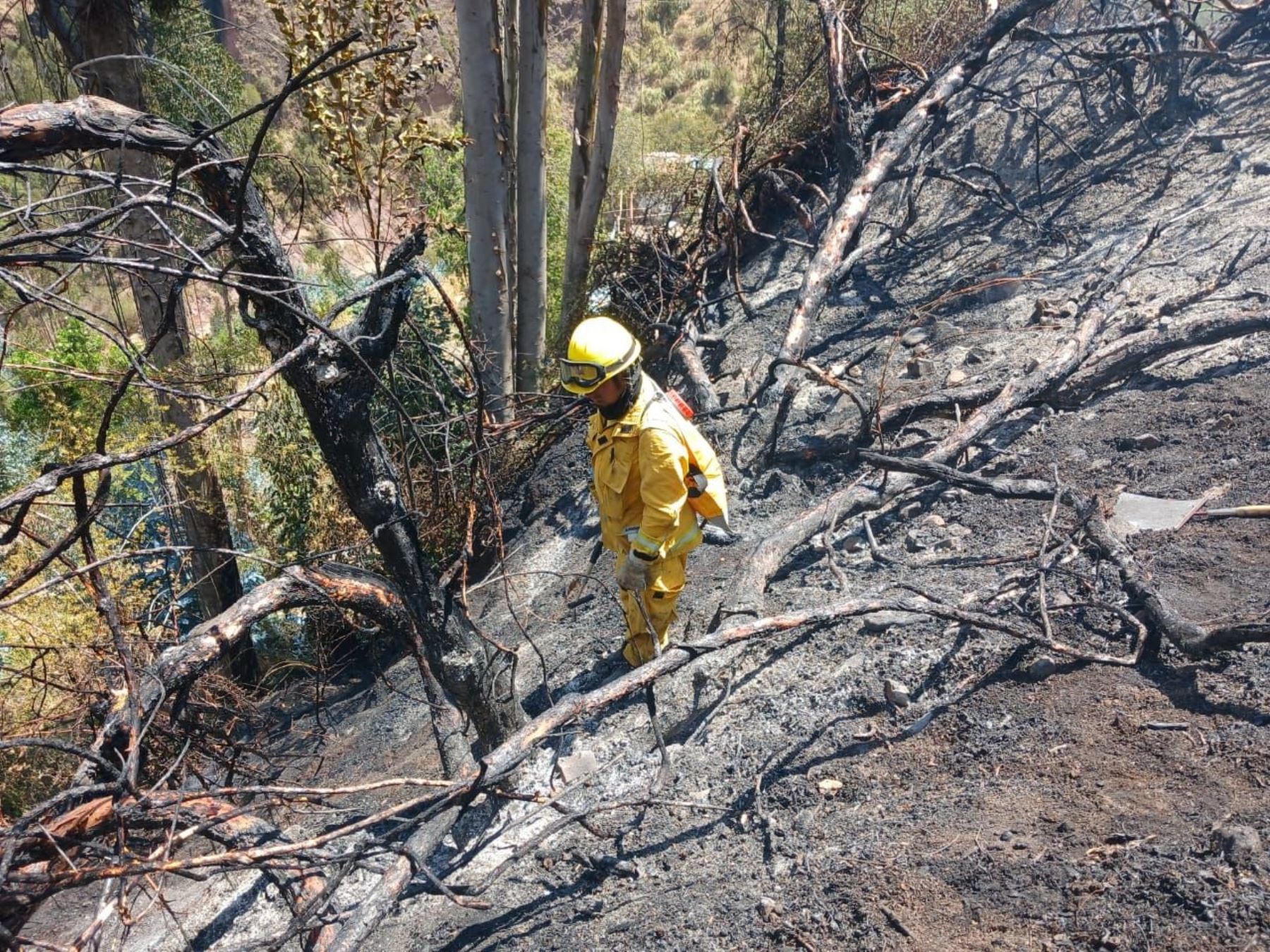 En las 13 provincias del Cusco se han reportado incendios forestales en lo que va del año. Foto: ANDINA/Difusión