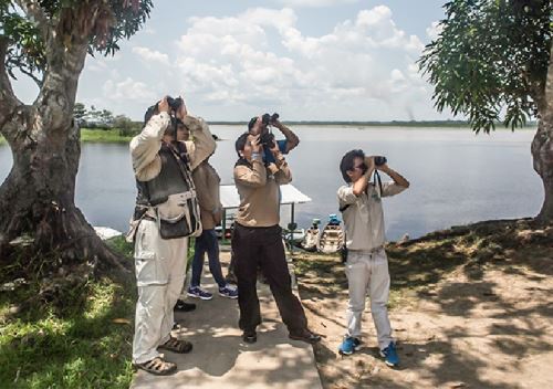 El Perú es uno de los países top para la observación de aves debido a la gran diversidad de especies que se encuentran en nuestro país.