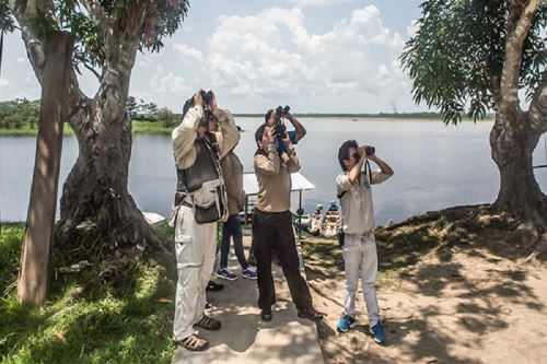 Observación de aves. Cortesía Mincetur