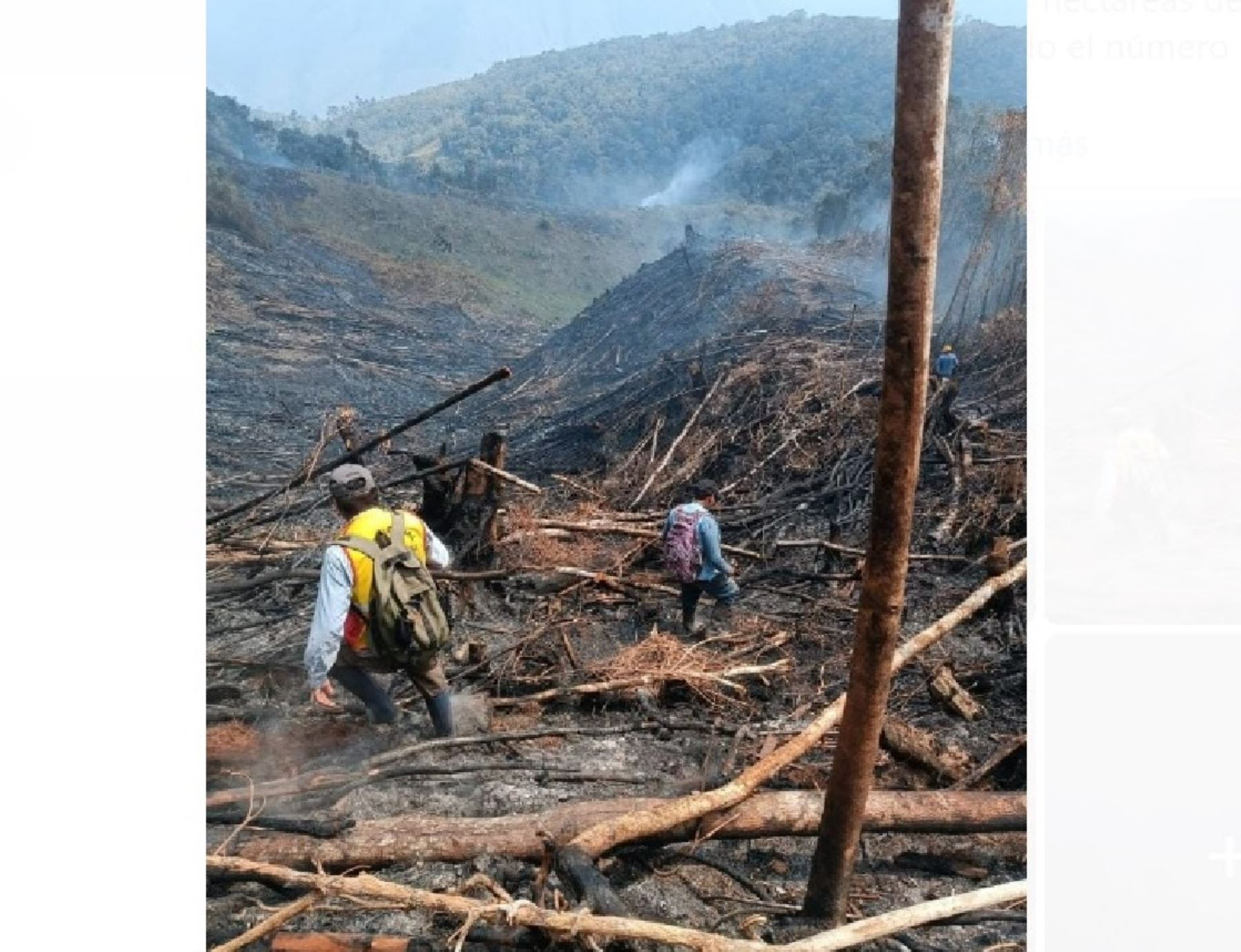 La región Pasco reporta dos incendios forestales que afectan a los distritos de Chontabamba, provincia de Oxapampa; y de Tápuc, provincia de Daniel Alcides Carrión. ANDINA/Difusión