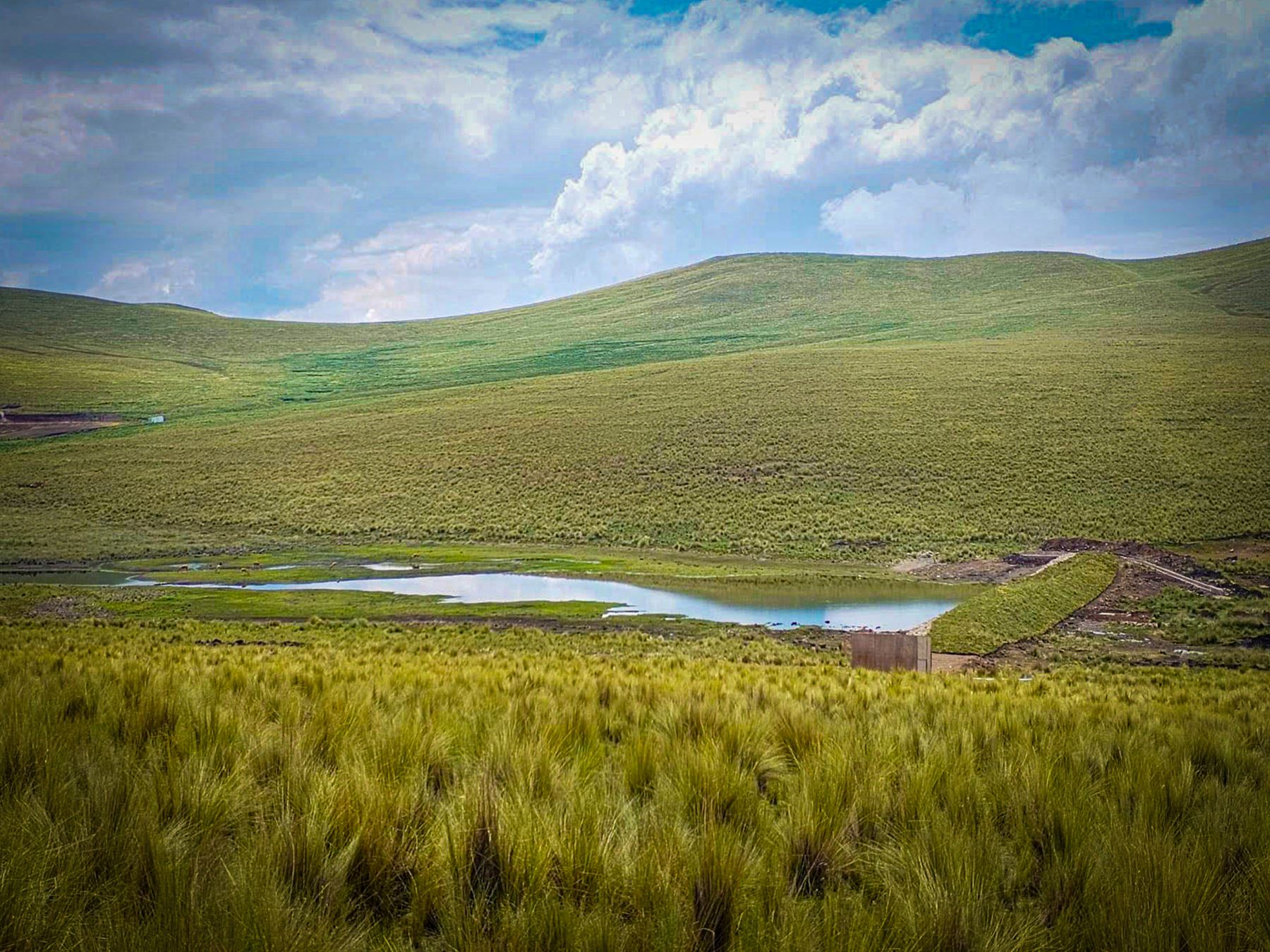 Más de 70 familias que se dedican a la agricultura y ganadería de la provincia de Azángaro, región Puno, se beneficiarán con la construcción de dos qochas que ejecuta el programa Agro Rural. ANDINA/Difusión