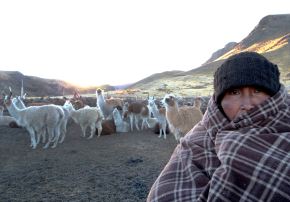 Puno es la región que concentra el mayor número de centros poblados que están en riesgo muy alto por las bajas temperaturas que se registrarán hasta noviembre, advirtió Cenepred. ANDINA/Difusión