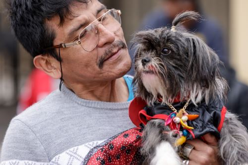 La mitad de las familias peruanas demuestran un apego significativo hacia los animales y que las mascotas son parte fundamental de la vida de muchos hogares en el Perú. ANDINA/ Andina.