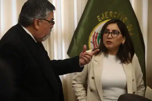 Congresista Kelly Portalatino (PL)