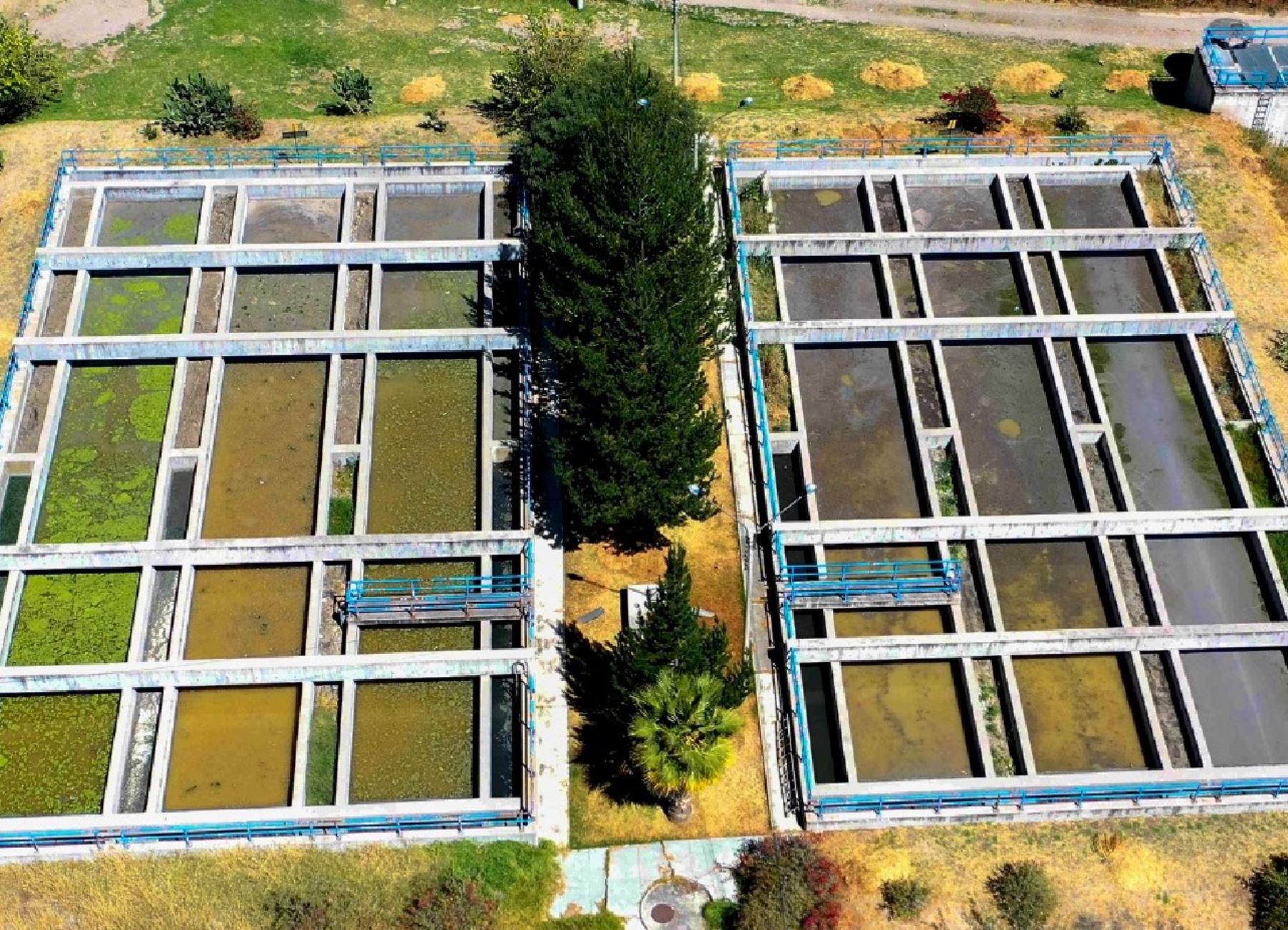 Seda Ayacucho impulsa el uso de lodos de su planta de tratamiento de aguas residuales para la producción de biofertilizantes que sirve como abono y biogás. ANDINA/Difusión