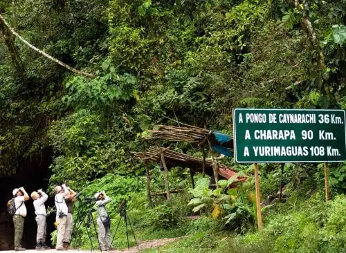 La región San Martín posee escenarios ideales para el turismo de observación de aves y por ese motivo el distrito de La Banda de Shilcayo promueve la participación en el concurso October Big Day que se realiza este sábado 12 de octubre. ANDINA/Difusión
