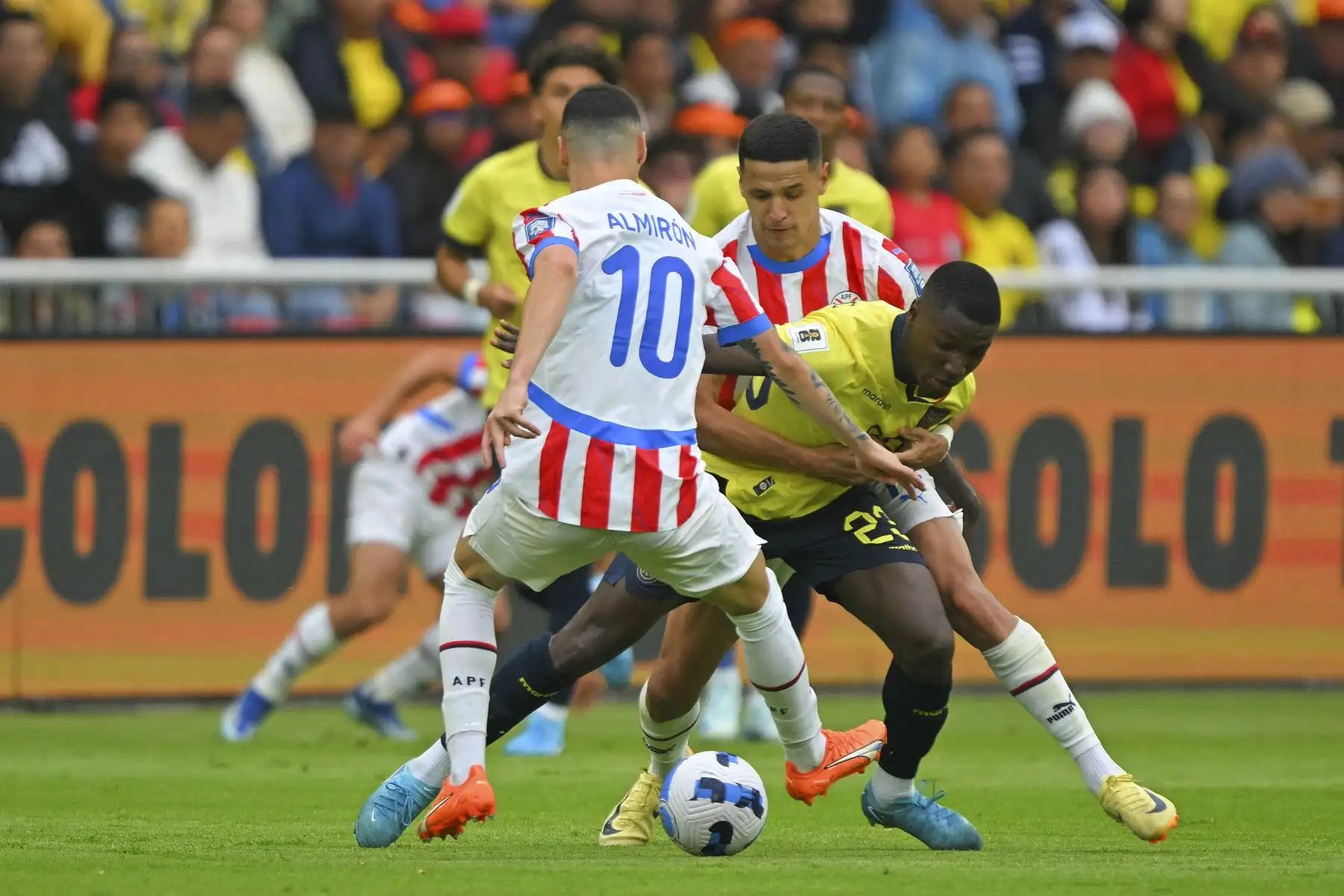 Con Alfaro haciendo su estreno en la doble fecha de septiembre pasado, los guaraníes hicieron tablas 0-0 de visitantes con los uruguayos y derrotaron 1-0 en su fortín asunceño a los brasileños. Foto: AFP