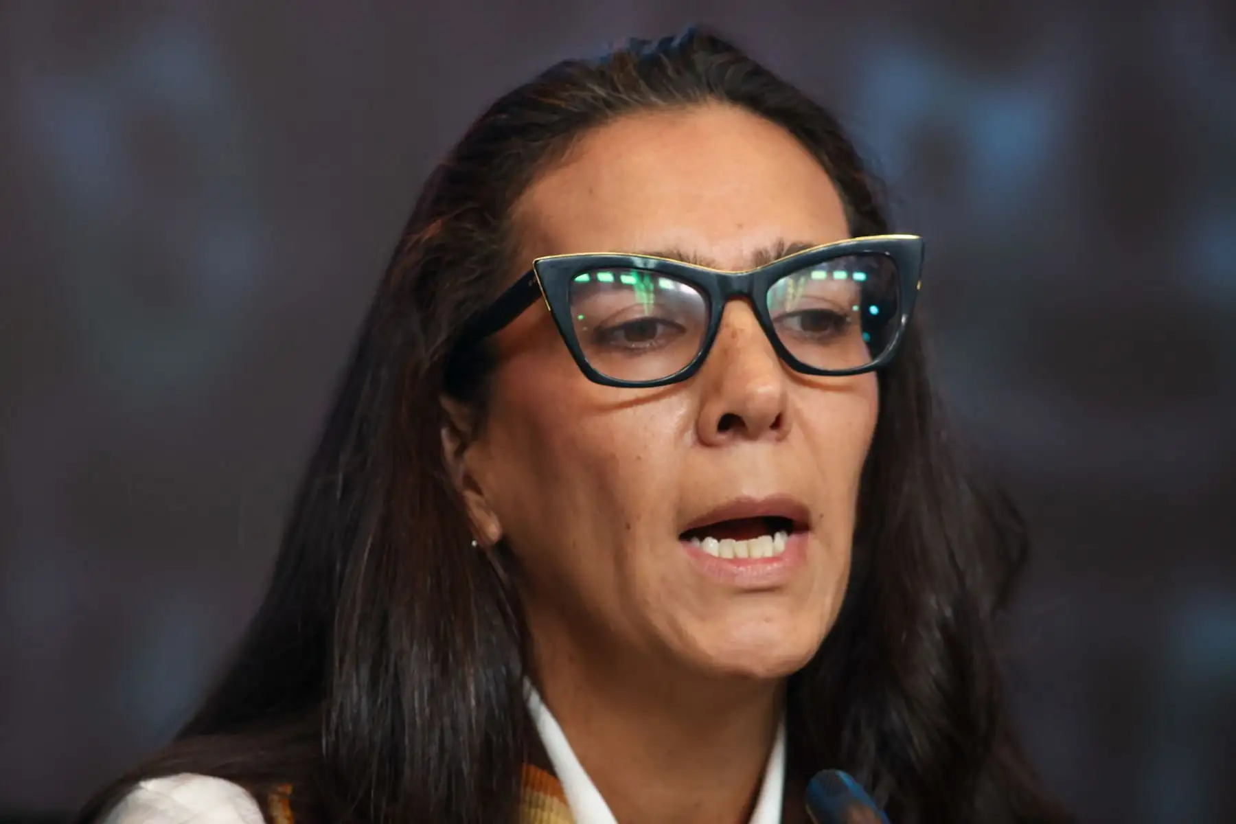 Intervención de Ana María Zamora, vicepresidenta de la Asociación Colombiana de Minería en la Mesa 4: Cómo promover la sostenibilidad y enfrentar el cambio climático en el marco del cuadragésimo período de sesiones de la CEPAL realizado en Lima.

Foto: ANDINA/Juan Carlos Guzmán Negrini