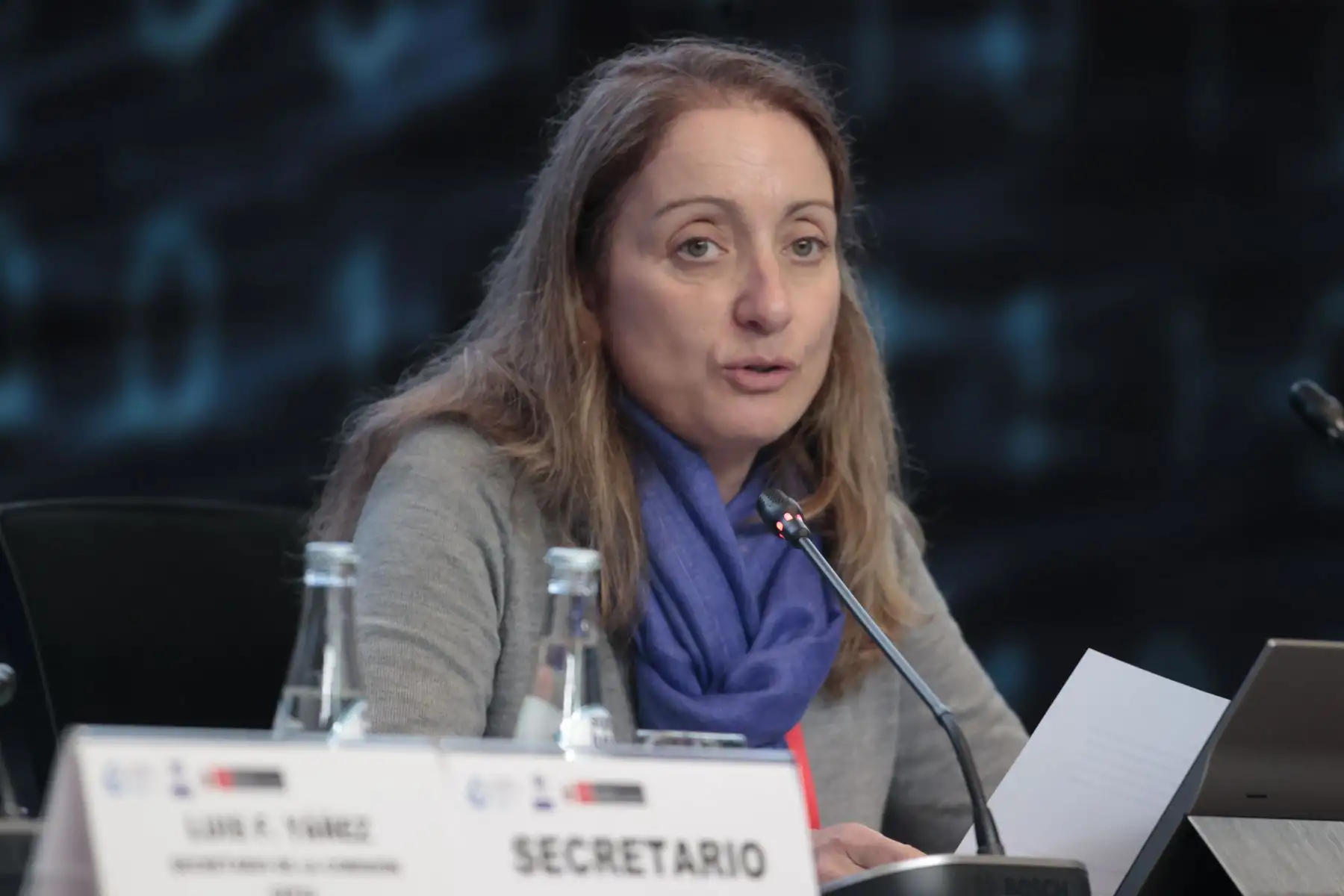 Sandra Manuelito, oficial a cargo división de planificación de programas y operaciones en el marco del cuadragésimo período de sesiones de la CEPAL, realizado en Lima.
Foto: ANDINA/Vidal Tarqui Palomino