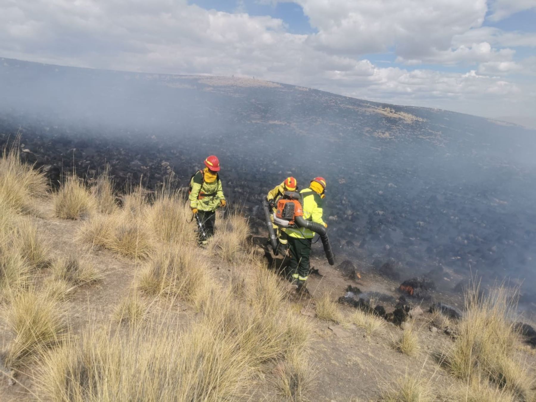 Un incendio forestal de proporciones afectó el distrito de Pichigua, provincia cusqueña de Espinar. El siniestro dejó una víctima mortal, se informó.