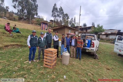 Los productores ganaderos de las provincias de Huancabamba, Paita y Ayabaca, región de Piura, recibieron del Ministerio de Desarrollo Agrario y Riego (Midagri) 1,200 pajillas de semen de ganado vacuno de las razas Pardo Alemán, Gir Lechero , Brahman Americano, Simmental y Anberdeen Angus .