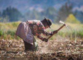 La actividad agropecuaria mantiene un desarrollo diferenciado en la región andina por las condiciones climáticas.  ANDINA/Difusión